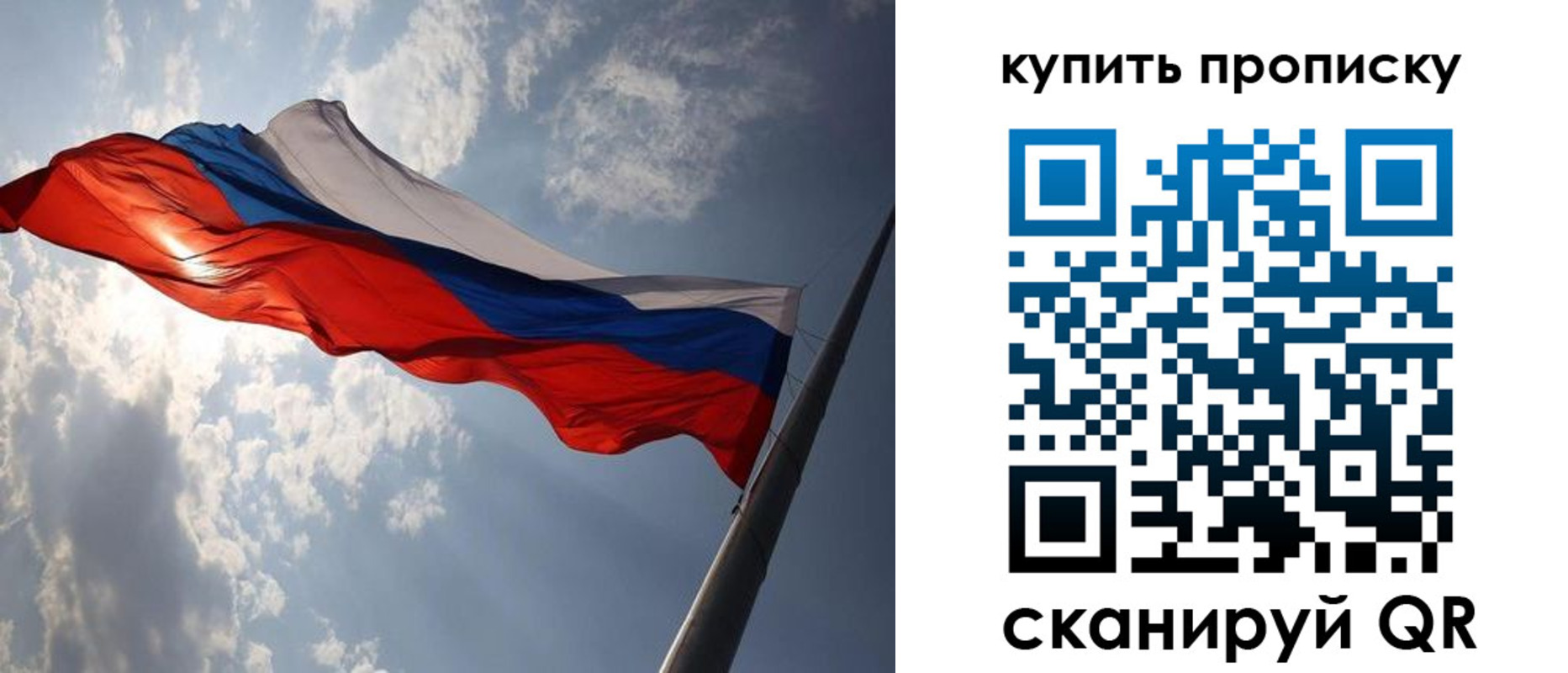 временная регистрация поиск в Новгородской области